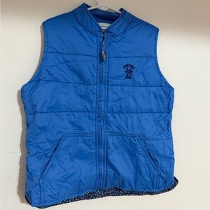 Blue Puffer Vest